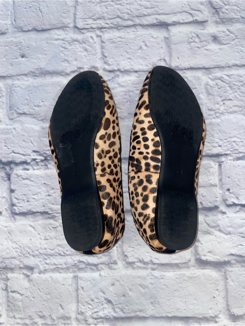 Birdies The Starling in Cheetah Calf Hair Size 7.5 - Picture 5 of 9